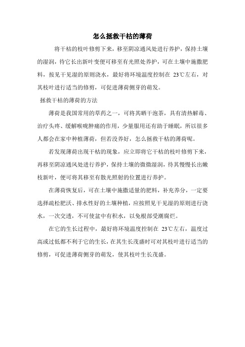 怎么拯救干枯的薄荷.doc