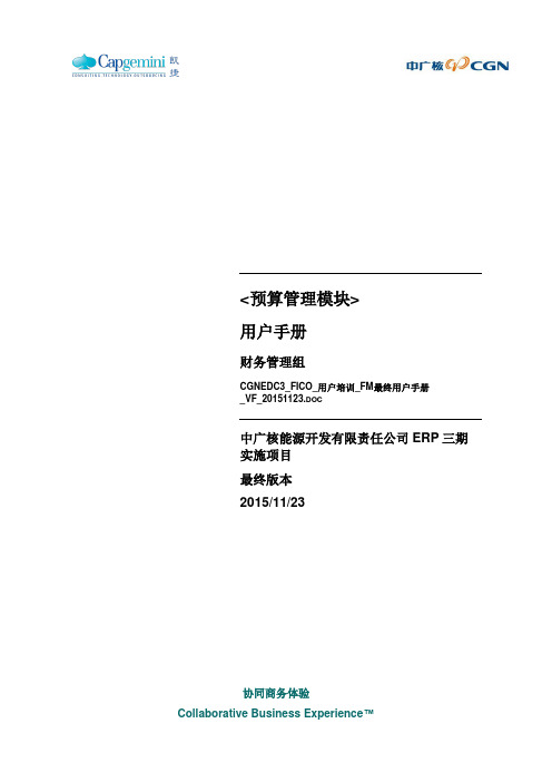 CGNEDC3_FICO_用户培训_FM最终用户手册_VF_20151123要点