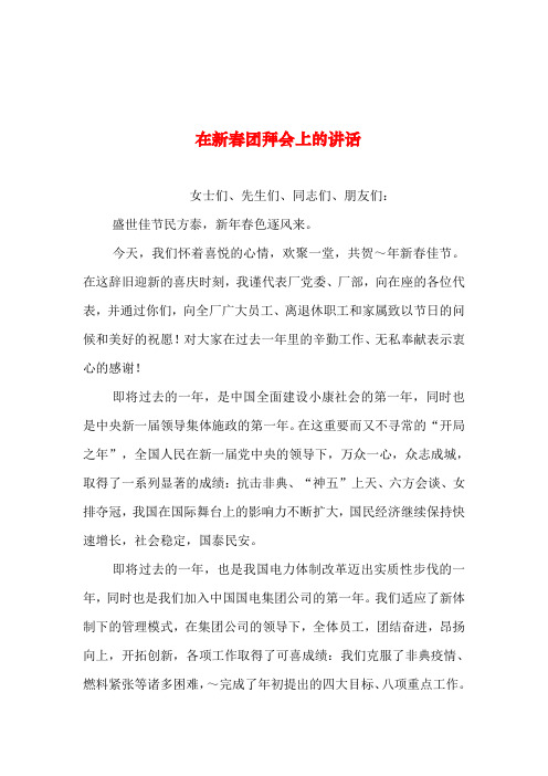 2019年整理--在新春团拜会上的讲话_0