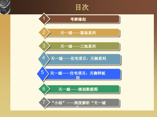 河北邢台市天一城考察报告(79页)