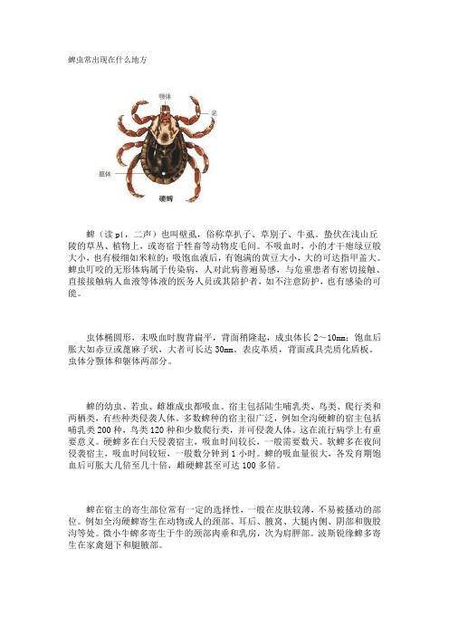 蜱虫常出现在什么地方