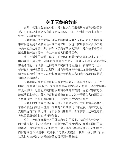 关于天鹅的故事