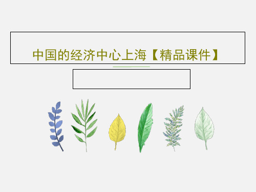 中国的经济中心上海【精品课件】共19页