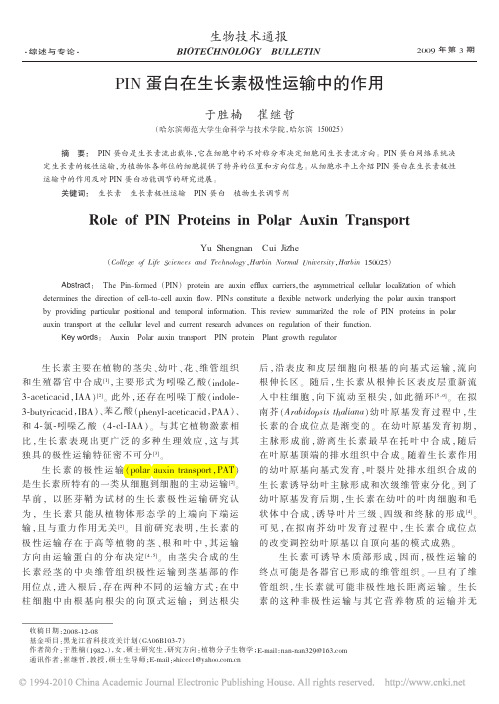 PIN蛋白在生长素极性运输中的作用