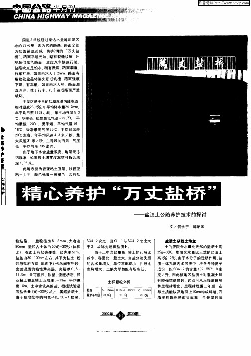 精心养护“万丈盐桥”：盐渍土公路养护技术的探讨
