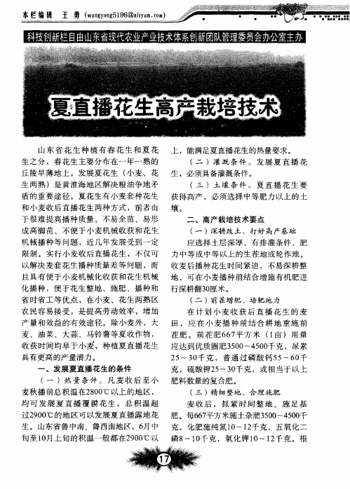 夏直播花生高产栽培技术