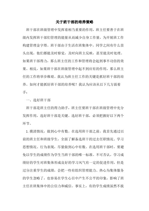 关于班干部培养策略[论文]