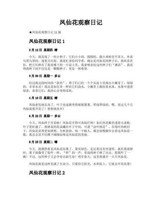 凤仙花观察日记