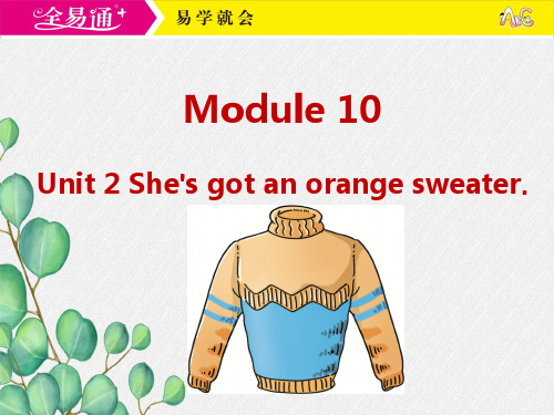 外研三下 M10 Unit 2 She's got an orange sweater课件 .