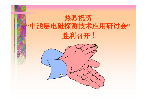 罗延钟 时间域激电法和频谱激电法