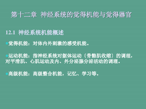 动物生理学神经系统的感觉机能与感觉器官ppt课件