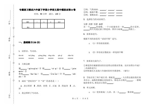 专题复习测试六年级下学期小学语文期中模拟试卷B卷