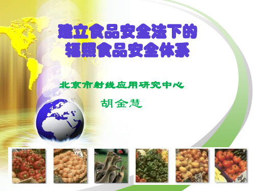 建立食品安全法下的辐照食品安全体系