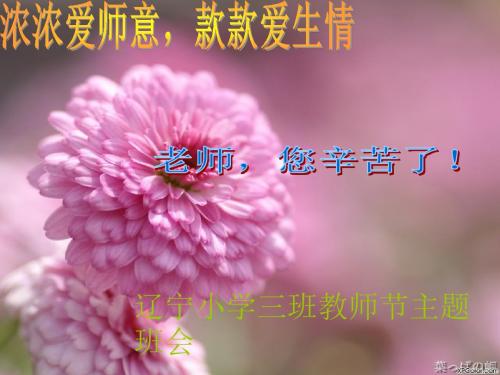 浓浓尊师意,款款爱生情