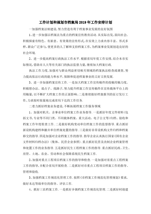 工作计划和规划 市档案局2019年工作安排计划 精品