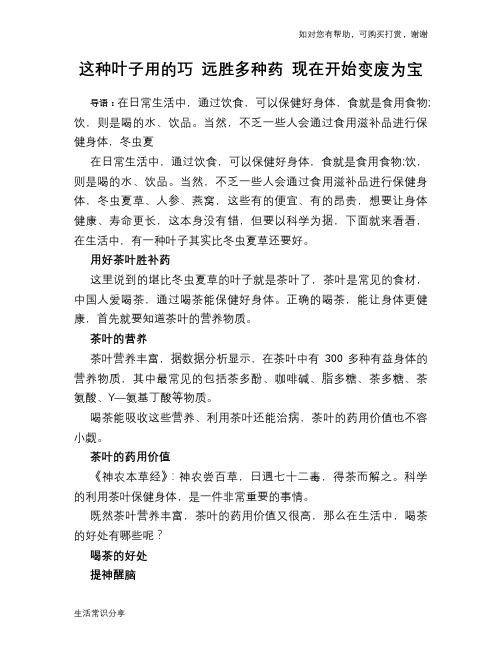 这种叶子用的巧 远胜多种药 现在开始变废为宝