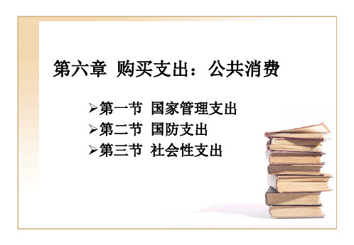 第六章购买支出：公共消费案例