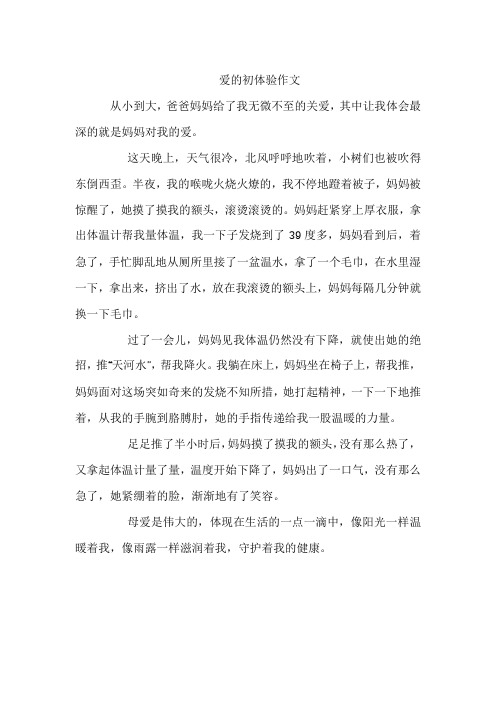 爱的初体验作文