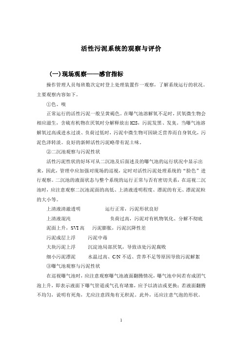 活性污泥系统的观察与评价