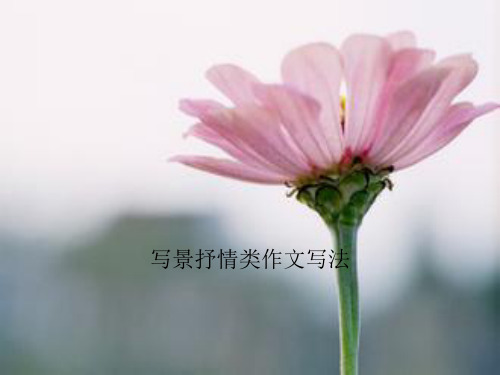 初中作文指导：《写景抒情类作文写法》PPT