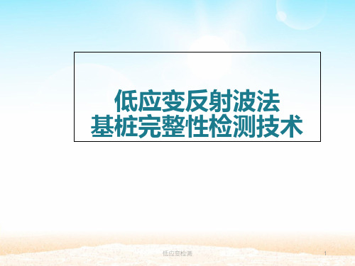 低应变检测 PPT