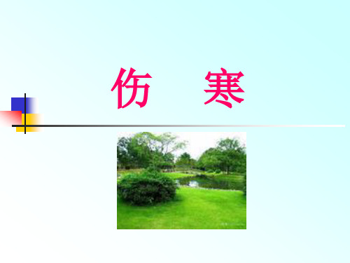 伤寒