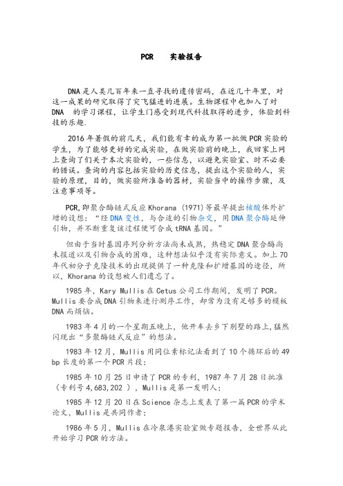 pcr实验报告