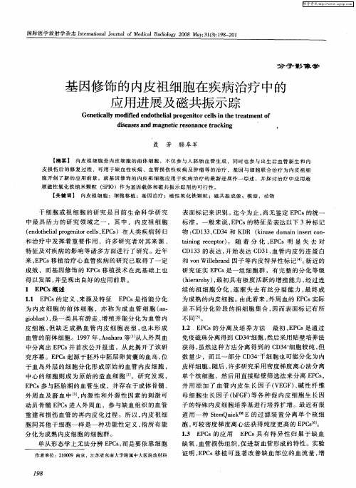 基因修饰的内皮祖细胞在疾病治疗中的应用进展及磁共振示踪