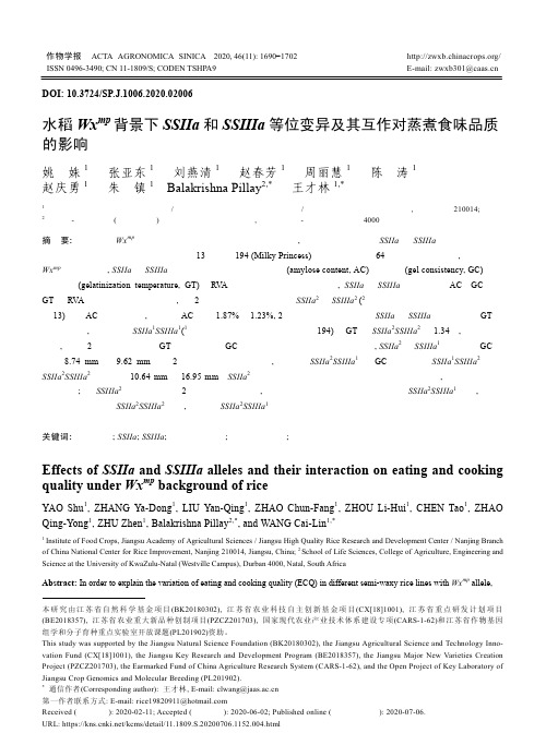 水稻Wxmp背景下SSIIa和SSIIIa等位变异及其互作对蒸煮食味品质的影响