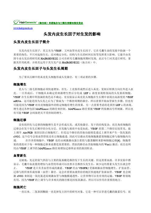头发内皮生长因子对生发的影响