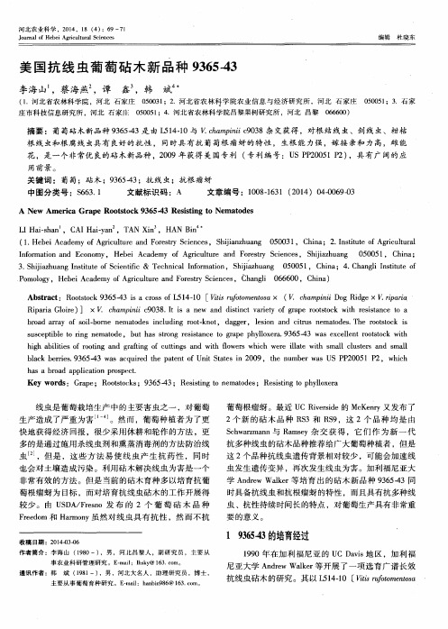 美国抗线虫葡萄砧木新品种9365-43