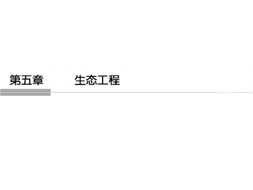 2018高中生物浙江专用浙科版选修三 课件 第五章 生态工程5-8