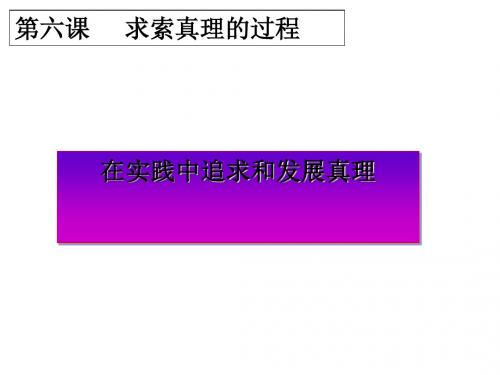在实践中追求和发展真理PPT课件15 人教课标版