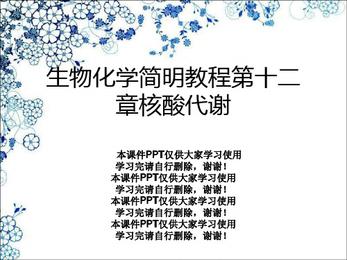 生物化学简明教程第十二章核酸代谢