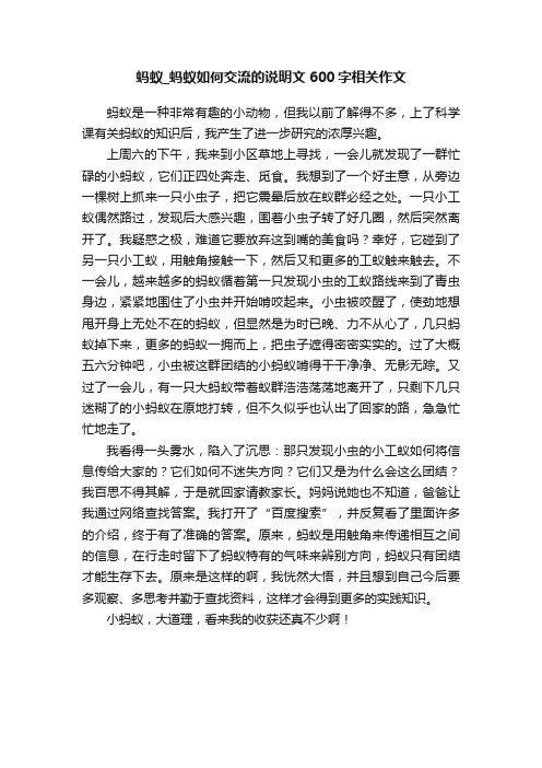 蚂蚁_蚂蚁如何交流的说明文600字相关作文