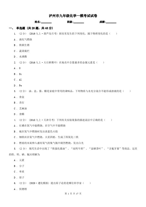 泸州市九年级化学一模考试试卷