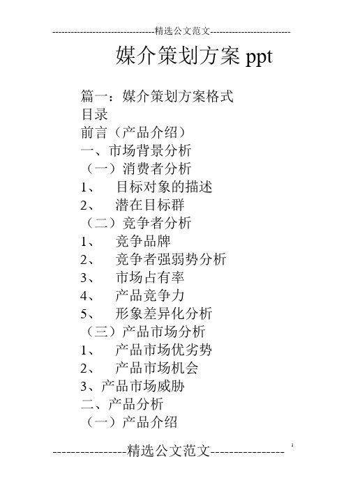 媒介策划方案ppt