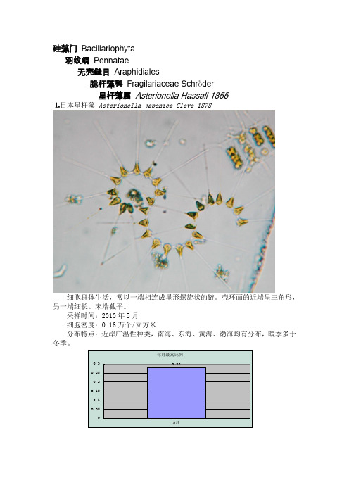 硅藻门 Bacillariophyta