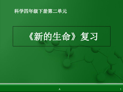 科学四下第二单元《新的生命》