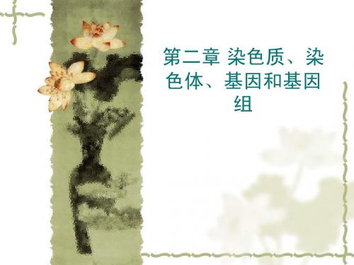 第二章 染色质、染
