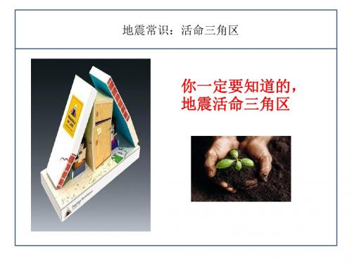 地震活命三角区课件12