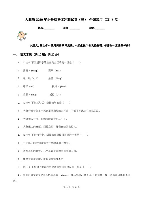 人教版2020年小升初语文冲刺试卷(三) 全国通用(II )卷