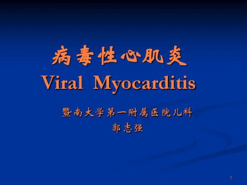 病毒性心肌炎PPT课件