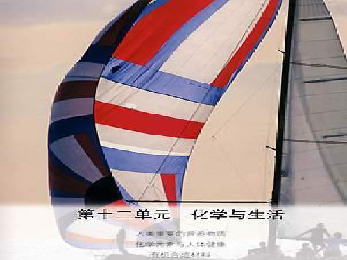 化学人类重要的营养物质