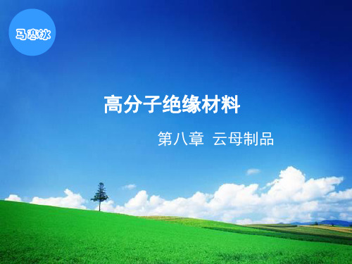 云母制品