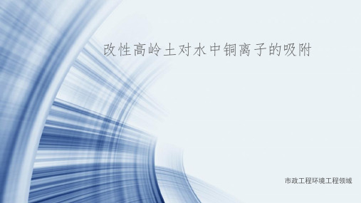 金属离子吸附课题汇报