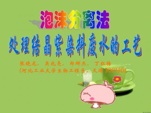 泡沫分离法处理结晶紫染料废水的工艺