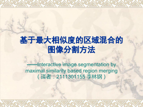 基于最大相似度区域混合的图像分割方法PPT课件