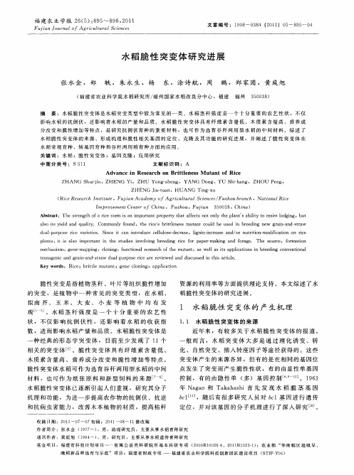 水稻脆性突变体研究进展