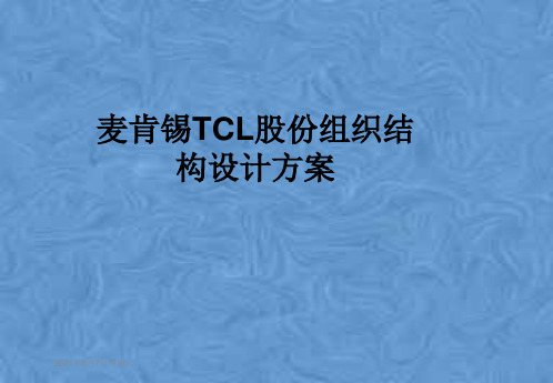麦肯锡TCL股份组织结构设计方案